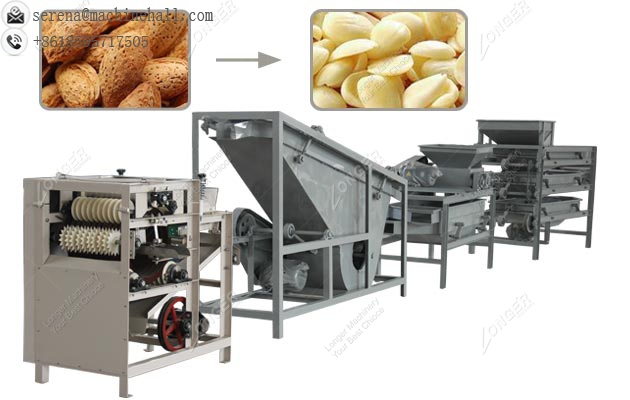 Almond Shelling and Peeling Machine|Apricot Processing Equipment Line Price