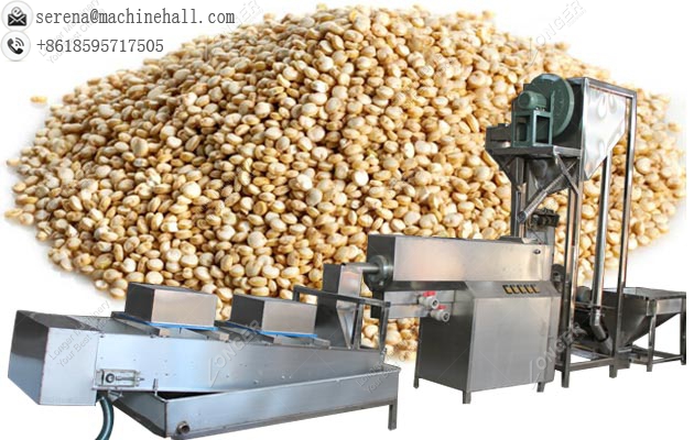 Quinoa Seeds Washing and Drying Machine|Raisin Washer Dryer