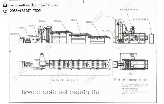 Pumpkin Seed Processing Line