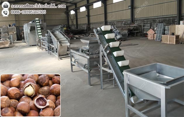 Commercial Hazelnut Shell Cracking and Roasting Machine|Filbert Nut Processing Machinery Plant