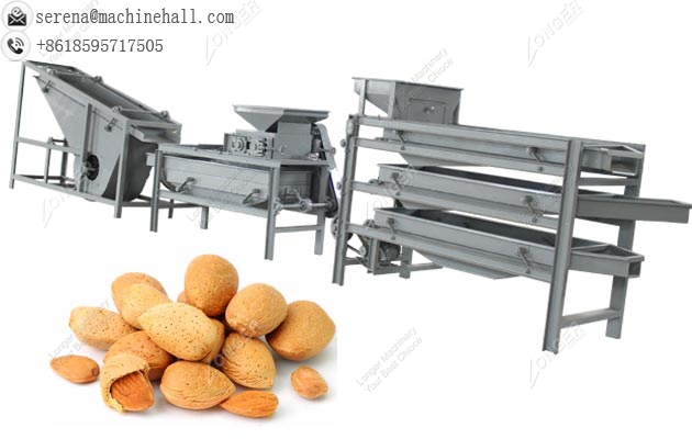 Almond Shelling and Peeling Machine|Apricot Processing Equipment Line Price