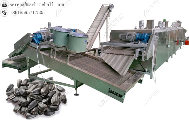 Automatic Sunflower Seed Roasting Line|Roaster Machine for Melon and Pumpkin Seeds