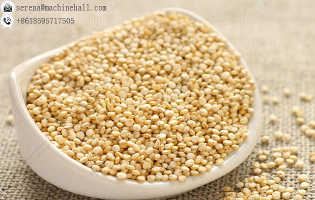 Quinoa Seeds Washing and Drying Machine|Raisin Washer Dryer