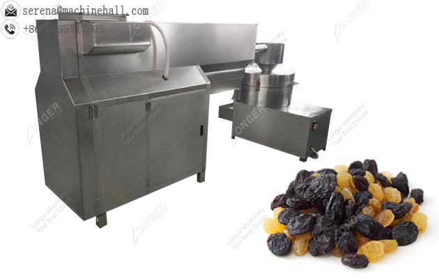 Raisin Washing and Drying Machine