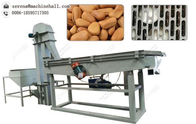 Pine Nut Sheller Cracker Machine|Hazelnut Shelling Equipment