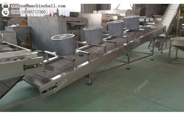 Sunflower Seeds Roasting Equipment