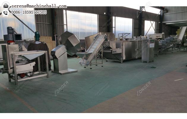 Sunflower Seed Roasting Equipment for Sale