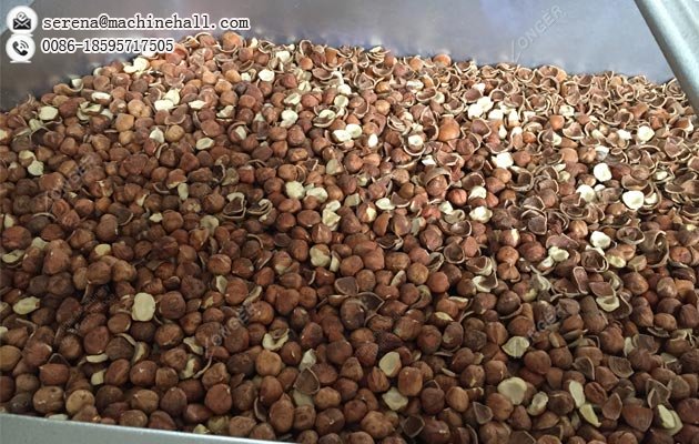 Commercial Hazelnut Shell Cracking and Roasting Machine|Filbert Nut Processing Machinery Plant