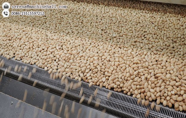 PLC Control Peanut Cashew Nut Roasting Line for Almond