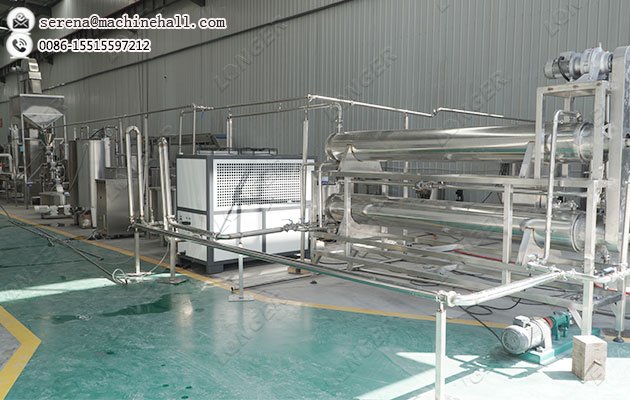 500 KG/H Peanut Butter Processing Equipment Plant