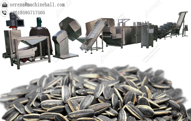 Automatic Sunflower Seed Roasting Line|Roaster Machine for Melon and Pumpkin Seeds