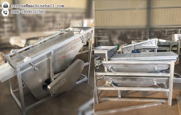 Commercial Hazelnut Shell Cracking and Roasting Machine|Filbert Nut Processing Machinery Plant